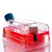 CELLineTM 生物反应器